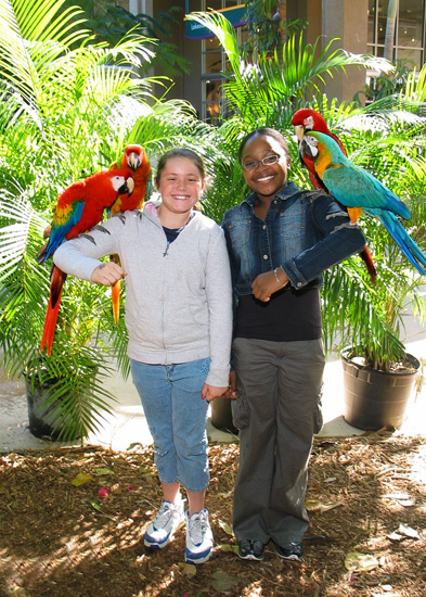 01 Parrot Jungle